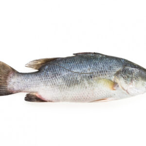 BASA FISH 10 KG