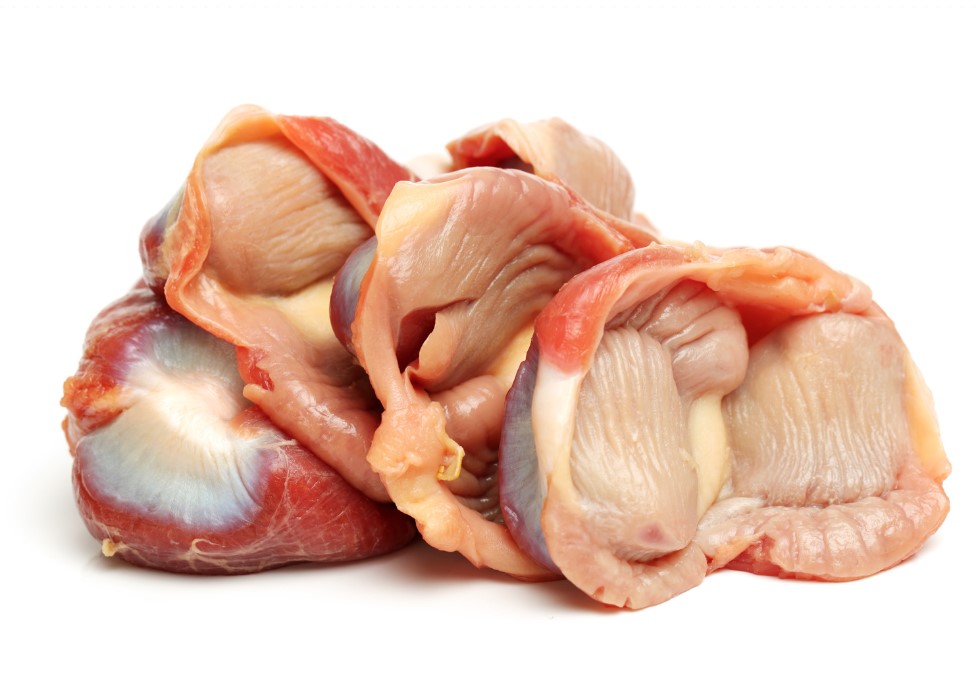 CHICKEN GIZZARD 10KG
