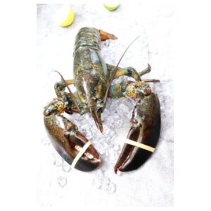 FROZEN LOBSTER