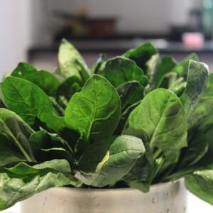 FROZEN PALAK GREEN 10KG