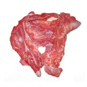 BOBBY VEAL 18KG